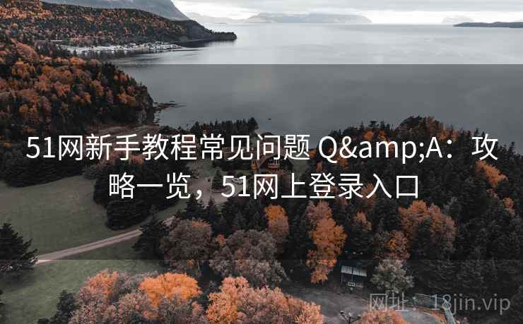 51网新手教程常见问题 Q&A：攻略一览，51网上登录入口  第2张