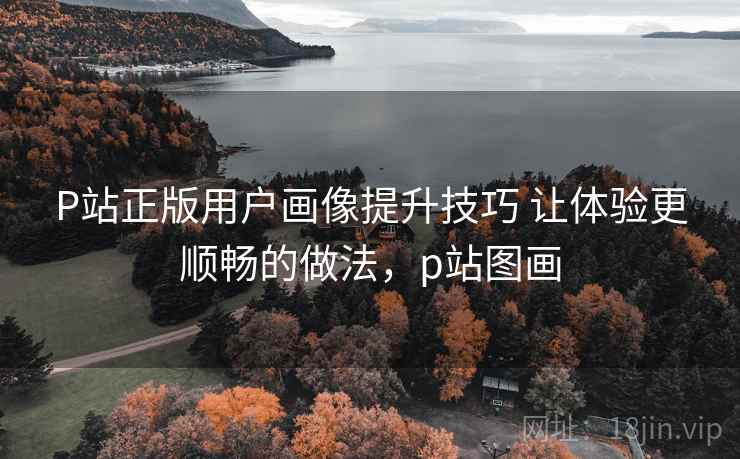 P站正版用户画像提升技巧 让体验更顺畅的做法，p站图画  第1张