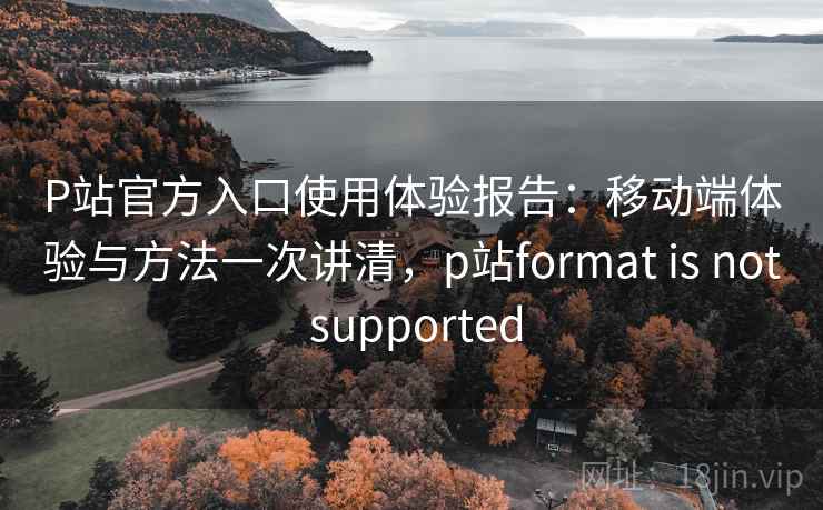 P站官方入口使用体验报告：移动端体验与方法一次讲清，p站format is not supported  第1张