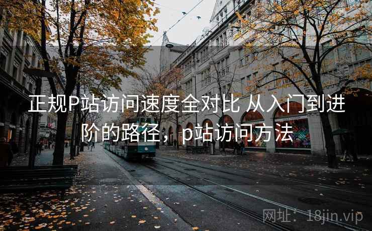 正规P站访问速度全对比 从入门到进阶的路径，p站访问方法  第1张