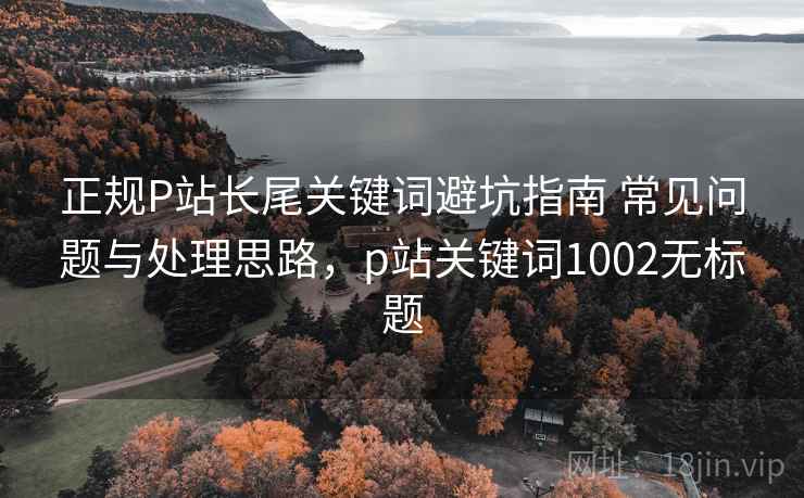 正规P站长尾关键词避坑指南 常见问题与处理思路，p站关键词1002无标题  第2张