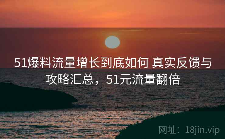 51爆料流量增长到底如何 真实反馈与攻略汇总，51元流量翻倍  第2张