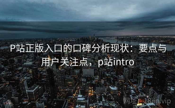 P站正版入口的口碑分析现状:要点与用户关注点,p站intro 第2张 P站正版入口的口碑分析现状:要点与用户关注点,p站intro 第2张