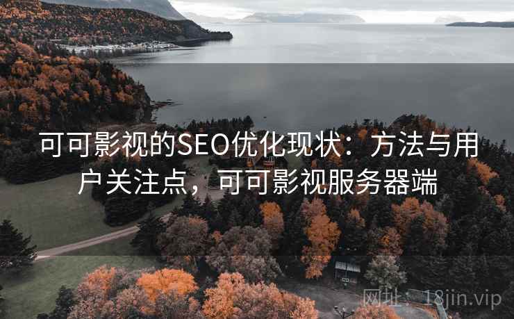 可可影视的SEO优化现状:方法与用户关注点,可可影视服务器端 第2张 可可影视的SEO优化现状:方法与用户关注点,可可影视服务器端 第2张