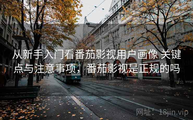 从新手入门看番茄影视用户画像 关键点与注意事项，番茄影视是正规的吗