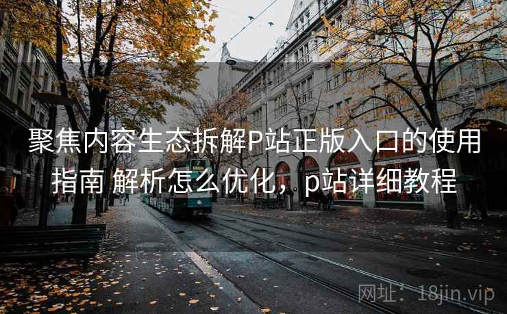 聚焦内容生态拆解P站正版入口的使用指南 解析怎么优化,p站详细教程 第1张 聚焦内容生态拆解P站正版入口的使用指南 解析怎么优化,p站详细教程 第1张
