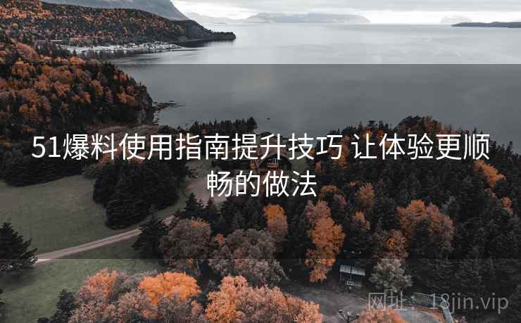 51爆料使用指南提升技巧 让体验更顺畅的做法  第2张