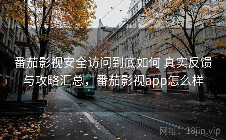 番茄影视安全访问到底如何 真实反馈与攻略汇总,番茄影视app怎么样 第2张 番茄影视安全访问到底如何 真实反馈与攻略汇总,番茄影视app怎么样 第2张