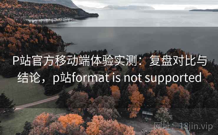 P站官方移动端体验实测:复盘对比与结论,p站format is not supported 第2张 P站官方移动端体验实测:复盘对比与结论,p站format is not supported 第2张