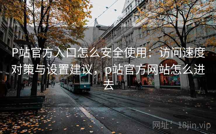 P站官方入口怎么安全使用：访问速度对策与设置建议，p站官方网站怎么进去