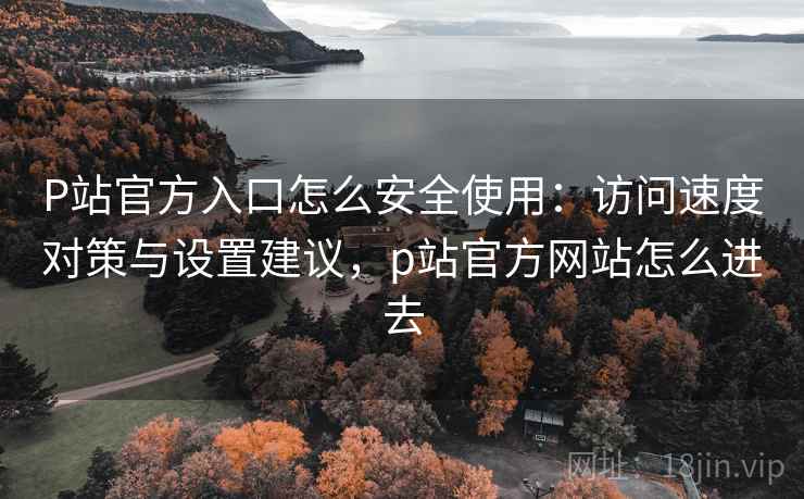 P站官方入口怎么安全使用:访问速度对策与设置建议,p站官方网站怎么进去 第2张 P站官方入口怎么安全使用:访问速度对策与设置建议,p站官方网站怎么进去 第2张