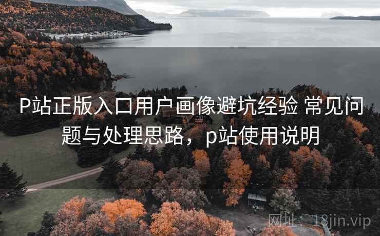 P站正版入口用户画像避坑经验 常见问题与处理思路，p站使用说明