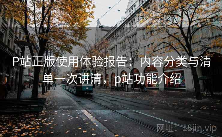 P站正版使用体验报告：内容分类与清单一次讲清，p站功能介绍