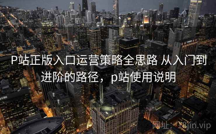 P站正版入口运营策略全思路 从入门到进阶的路径,p站使用说明 第2张 P站正版入口运营策略全思路 从入门到进阶的路径,p站使用说明 第2张