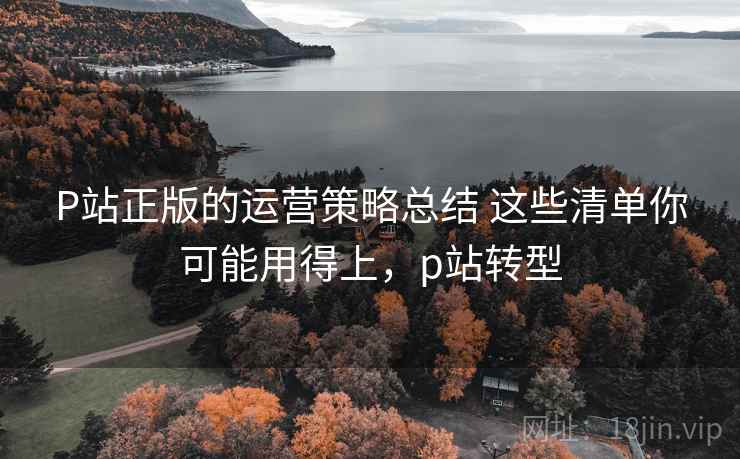 P站正版的运营策略总结 这些清单你可能用得上,p站转型 第1张 P站正版的运营策略总结 这些清单你可能用得上,p站转型 第1张