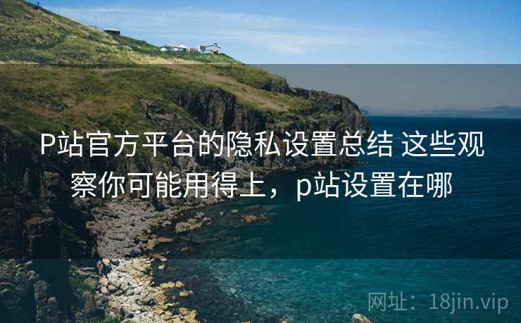P站官方平台的隐私设置总结 这些观察你可能用得上，p站设置在哪