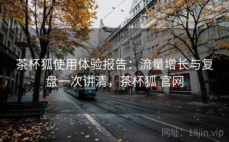 茶杯狐使用体验报告:流量增长与复盘一次讲清,茶杯狐 官网 第2张 茶杯狐使用体验报告:流量增长与复盘一次讲清,茶杯狐 官网 第2张