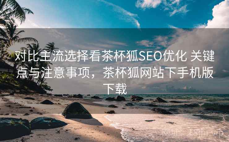 对比主流选择看茶杯狐SEO优化 关键点与注意事项,茶杯狐网站下手机版下载 第1张 对比主流选择看茶杯狐SEO优化 关键点与注意事项,茶杯狐网站下手机版下载 第1张