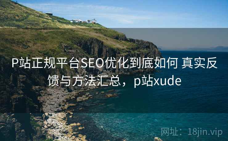 P站正规平台SEO优化到底如何 真实反馈与方法汇总，p站xude  第2张