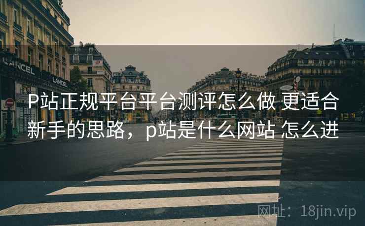P站正规平台平台测评怎么做 更适合新手的思路，p站是什么网站 怎么进  第2张