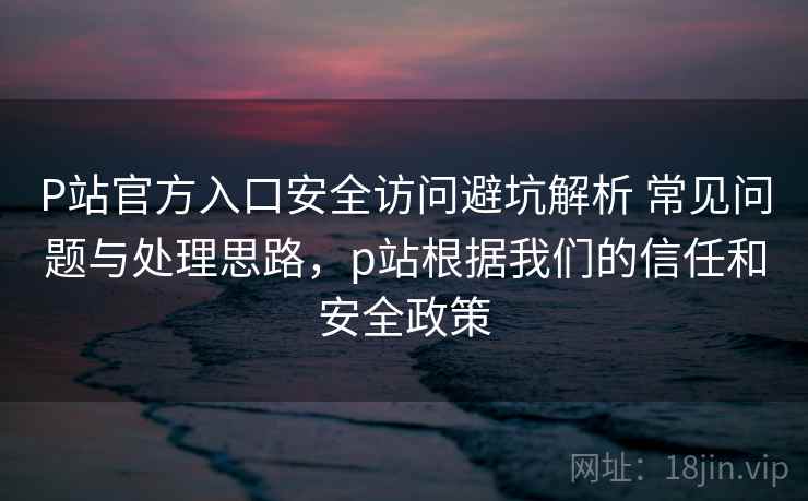 P站官方入口安全访问避坑解析 常见问题与处理思路，p站根据我们的信任和安全政策  第2张