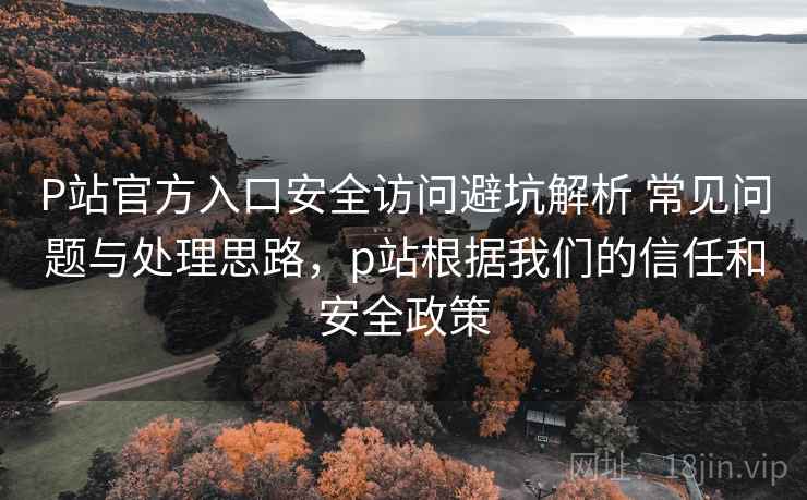 P站官方入口安全访问避坑解析 常见问题与处理思路，p站根据我们的信任和安全政策  第1张