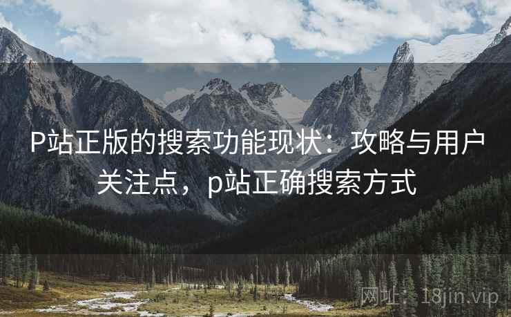 P站正版的搜索功能现状：攻略与用户关注点，p站正确搜索方式  第1张