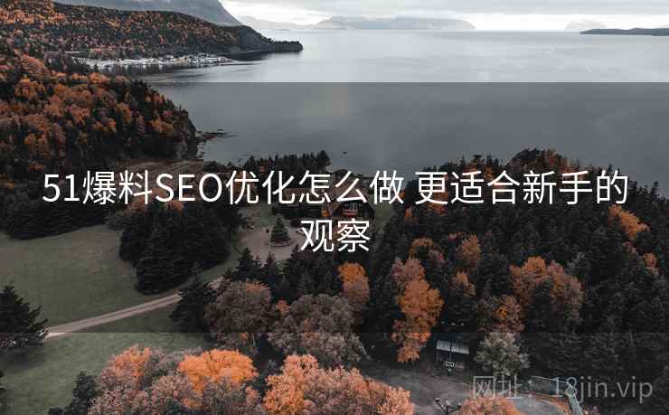 51爆料SEO优化怎么做 更适合新手的观察 第1张 51爆料SEO优化怎么做 更适合新手的观察 第1张