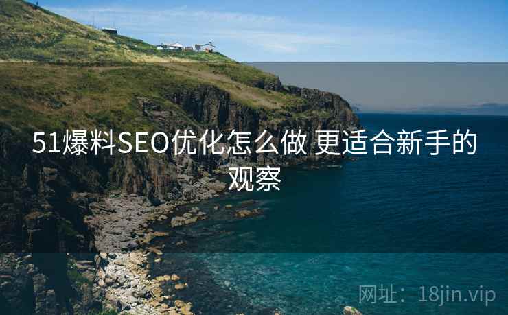 51爆料SEO优化怎么做 更适合新手的观察 第2张 51爆料SEO优化怎么做 更适合新手的观察 第2张